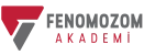 Fenomozom Akademi